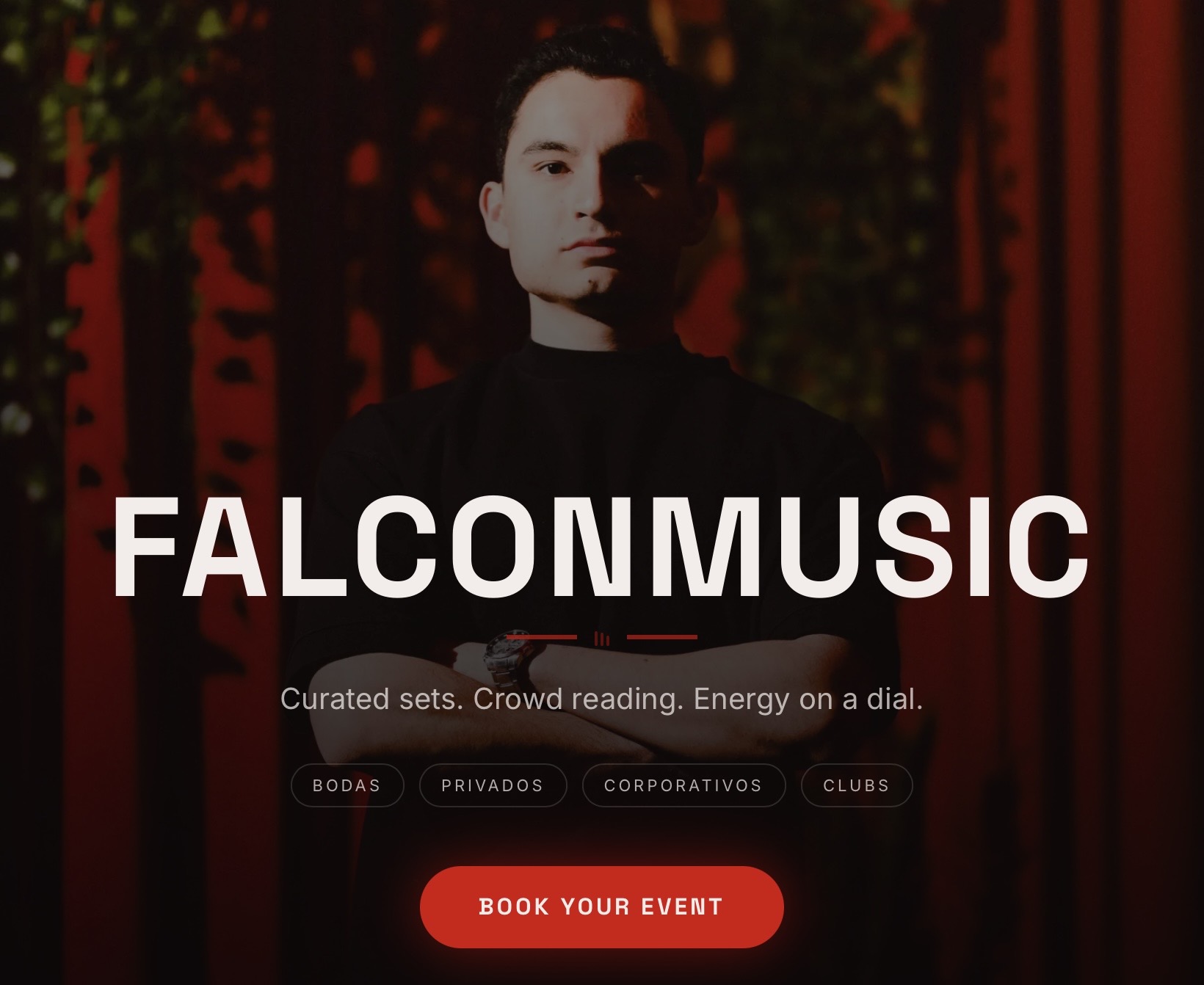 FALCONMUSIC · captura del sitio